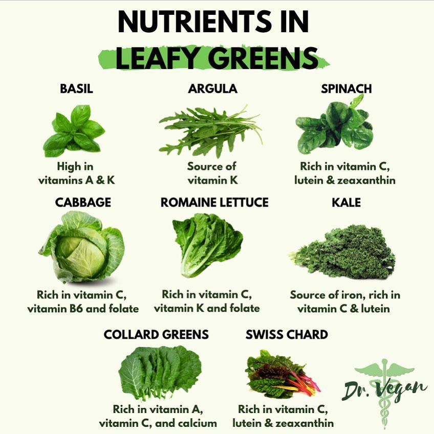 Breville BJS600XL Review: The Secret to Easy Juicing 3 Breville BJS600XL Fountain Crush Masticating Slow Juicer