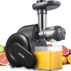 12 Best Commercial Cold Press Juicers [2021 Reviews] 6