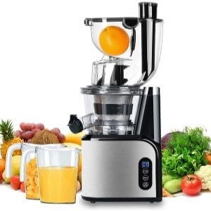 Aobosi Slow Masticating Juicer