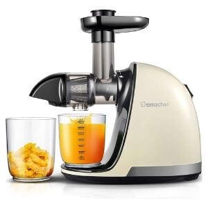 12 Best Commercial Cold Press Juicers [2021 Reviews] 5