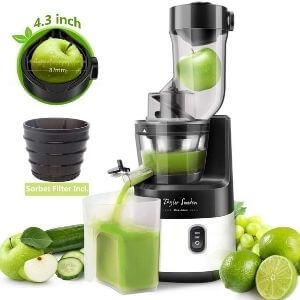 Slow Masticating Juicer Machine