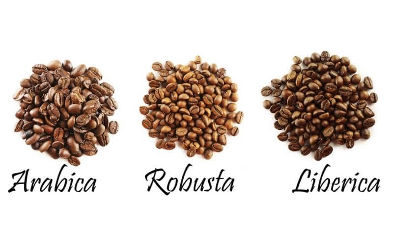 How to Make Chocolate Covered Coffee Beans at Home : The Easiest Way 5 How to Make Chocolate Covered Coffee Beans at Home : The Easiest Way 2