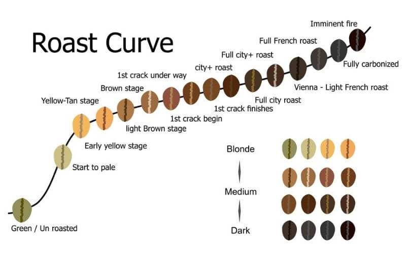 What is Blonde Coffee? Mystery Solved! 2 What is Blonde Coffee