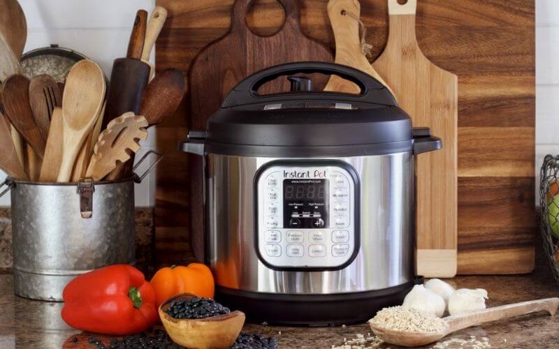 fagor electric pressure cooker