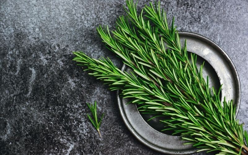 rosemary alternative