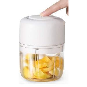 AYOTEE Food Processor