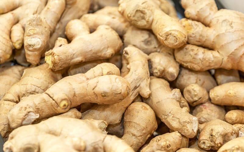 Does Ginger Go Bad? How Long Does It Last? 3 does ginger go bad