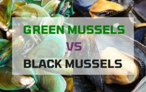 Green Mussels and Black Mussels