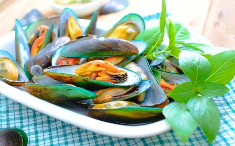 Green Mussels vs Black Mussels: The Differences Will Surprise You! 3 green mussels vs black mussels