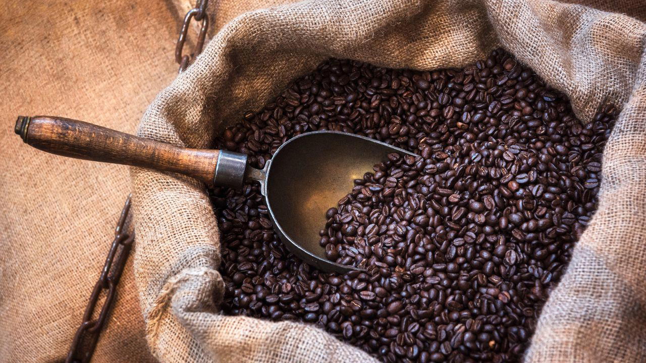 How Long To Store Coffee Beans: Everything You Need To Know! 1