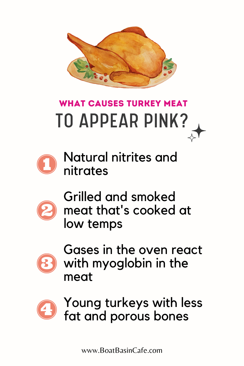Uncooked Turkey 101: What To Do If Turkey Is Not Fully Cooked 5 What Causes Turkey Meat To Appear Pink