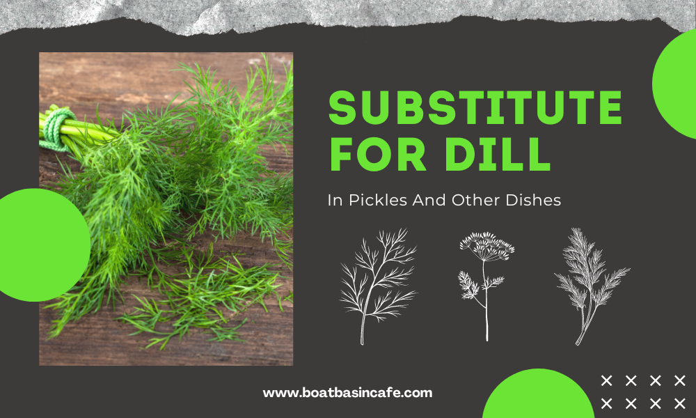 The Best Substitute For Dill In Pickles And Other Dishes 2 The Best Substitute For Dill In Pickles And Other Dishes