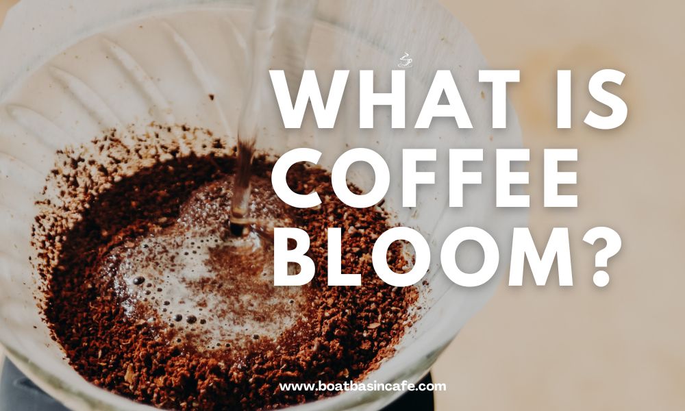 What is Coffee Bloom? All Your Questions Answered 2 What is Coffee Bloom? All Your Questions Answered