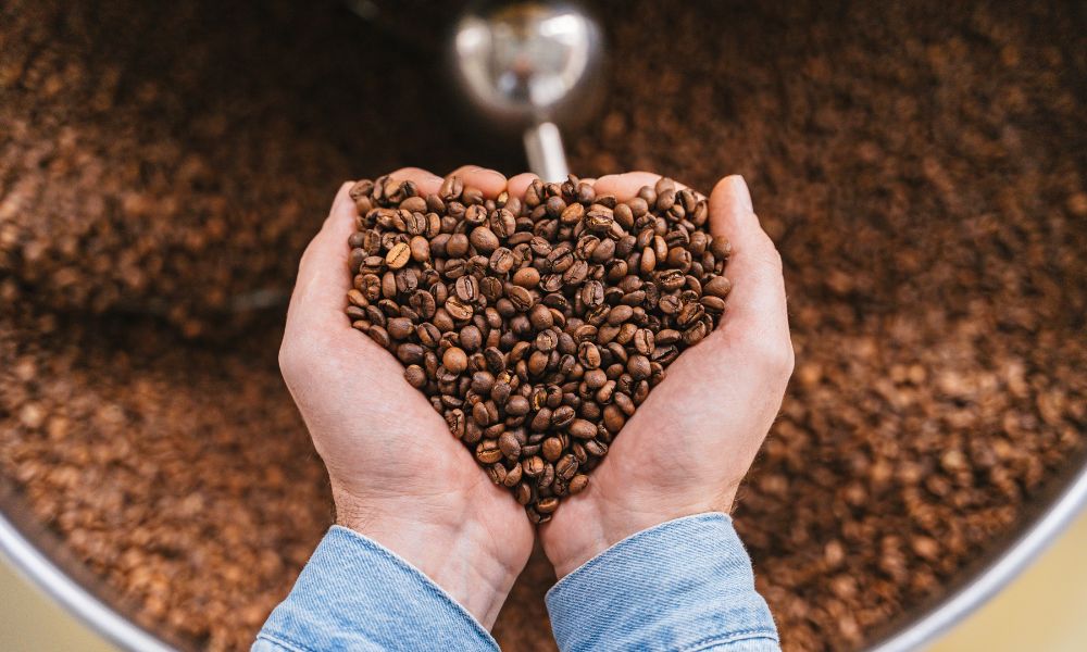 Do Oily Coffee Beans Affect the Taste of Coffee? 3