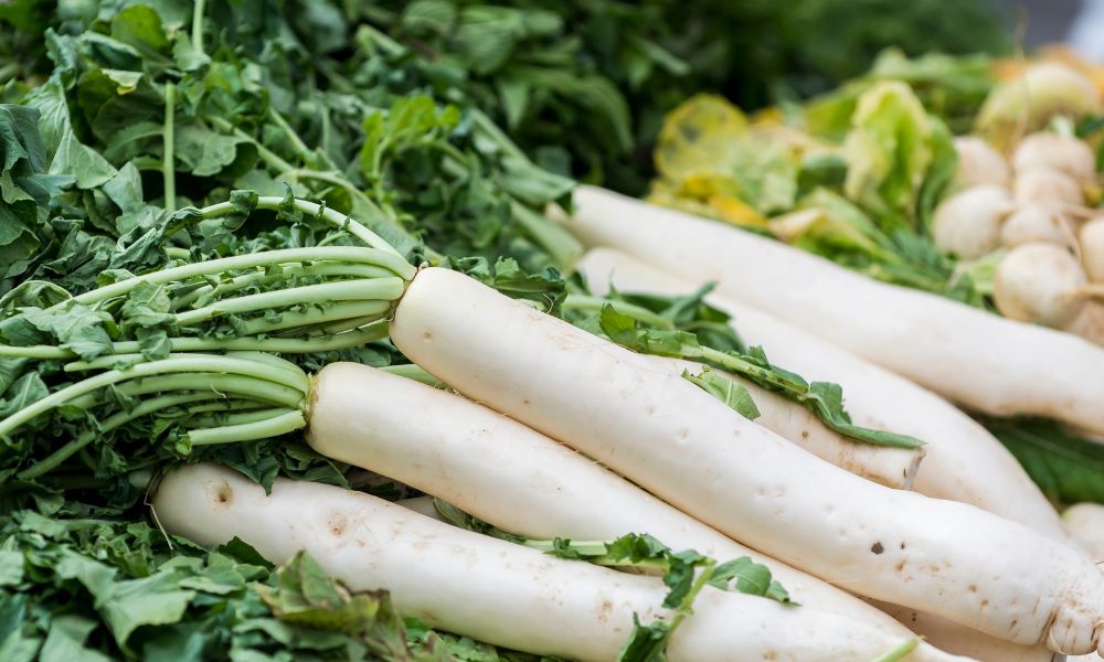 Oshinko: The Traditional Japanese Pickled Radish Recipe and Uses 4 Oshinko: The Traditional Japanese Pickled Radish Recipe and Uses 4