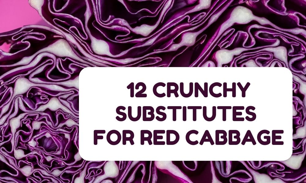 12 Crunchy Substitutes for Red Cabbage with an Amazing Taste 2