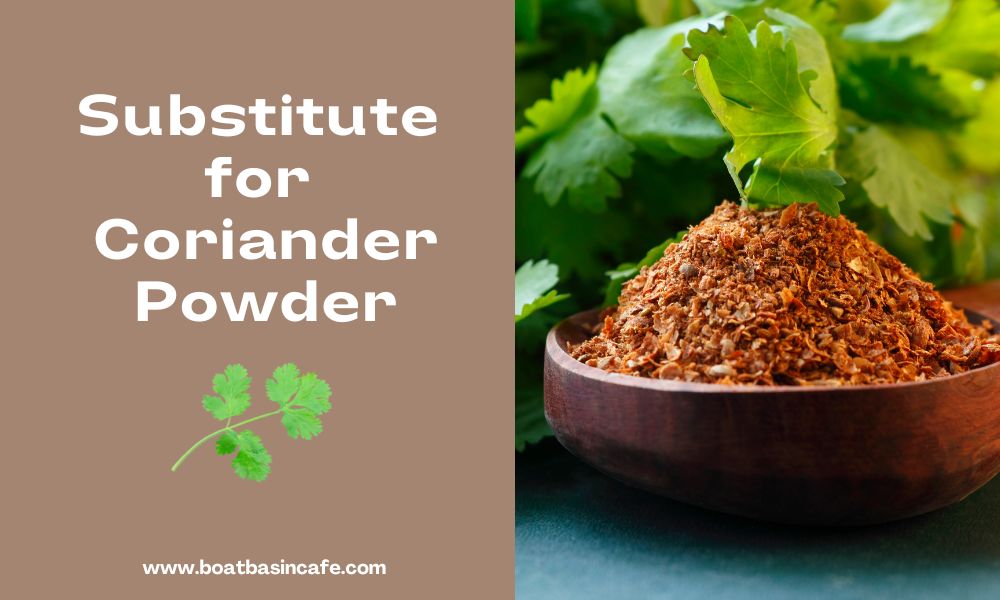 16 Practical & Easy to use substitute for coriander powder! 2 16 Practical & Easy to use substitute for coriander powder! 1