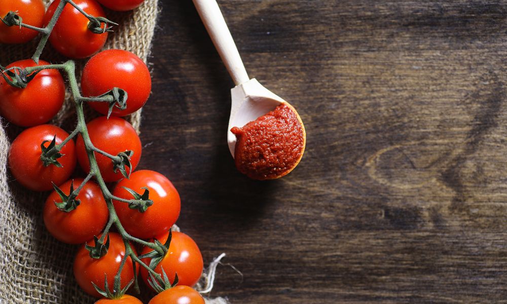 The Spice is Right: Unearthing the Perfect Ancho Chili Pepper Substitute 13