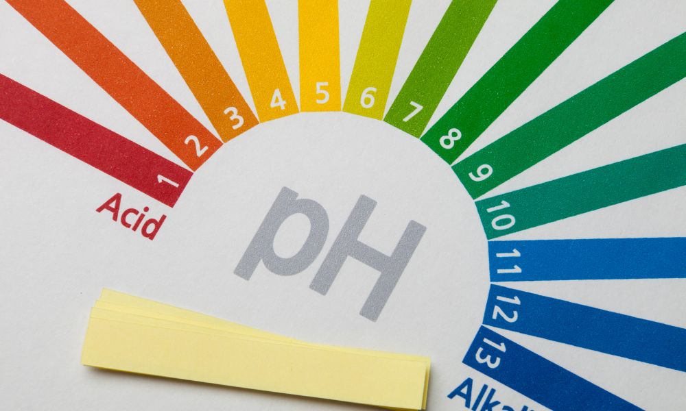 Is Your Coffee Sour? Here's Why and How to Fix It! 3 Is Your Coffee Sour? Here's Why and How to Fix It! 1