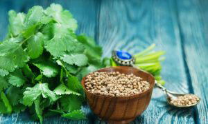 substitute for coriander powder