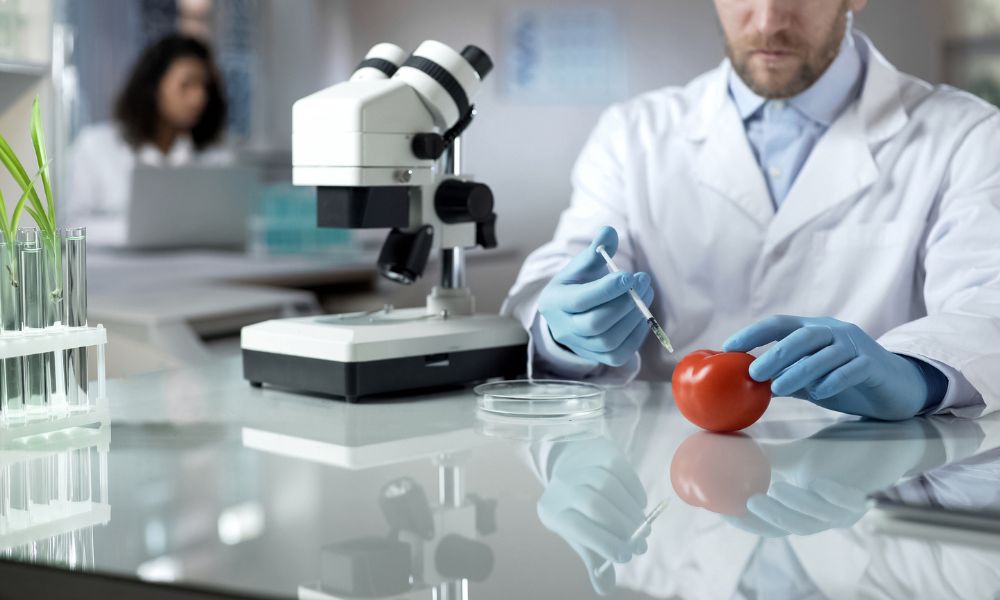 Mashed Potato Mystery: How Long Can They Last in the Fridge? 2