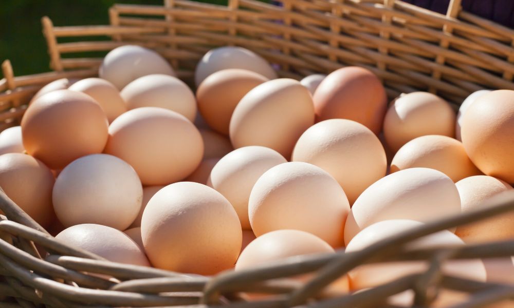 Fresh Eggs Storage Guide: How Long Do Fresh Eggs Last? 2