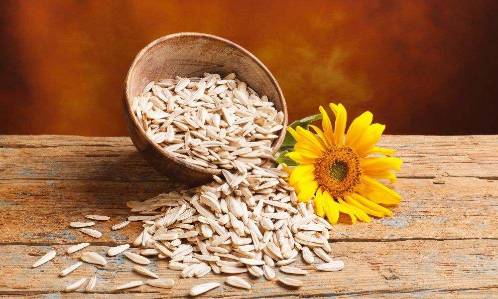 How Long Do Sunflower Seeds Last After Expiration Date? Find Out Now! 2 how long do sunflower seeds last after expiration date