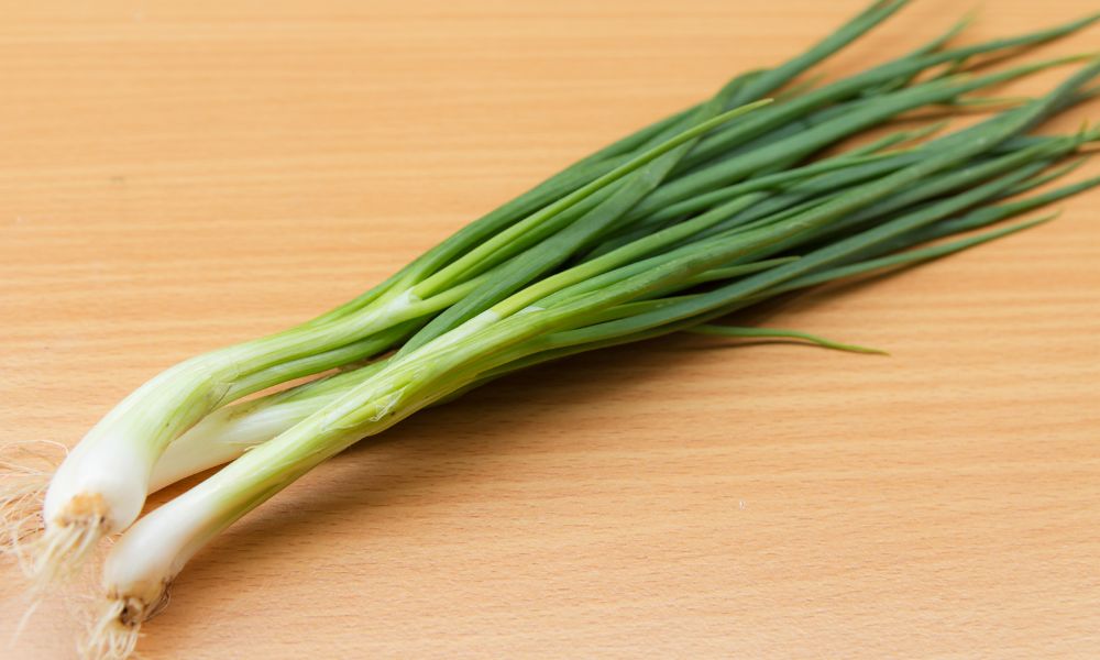 Store Spring Onions in the Fridge Like a Pro: Best Techniques Revealed! 2 how to store spring onions in the fridge