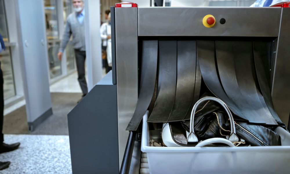 Can You Bring Fruit Through Airport Security? A Friendly Guide 3 Can You Bring Fruit Through Airport Security? A Friendly Guide 2