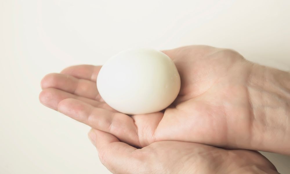 Shell No More: Uncovering the Shelf Life of Peeled Eggs in the Fridge 4