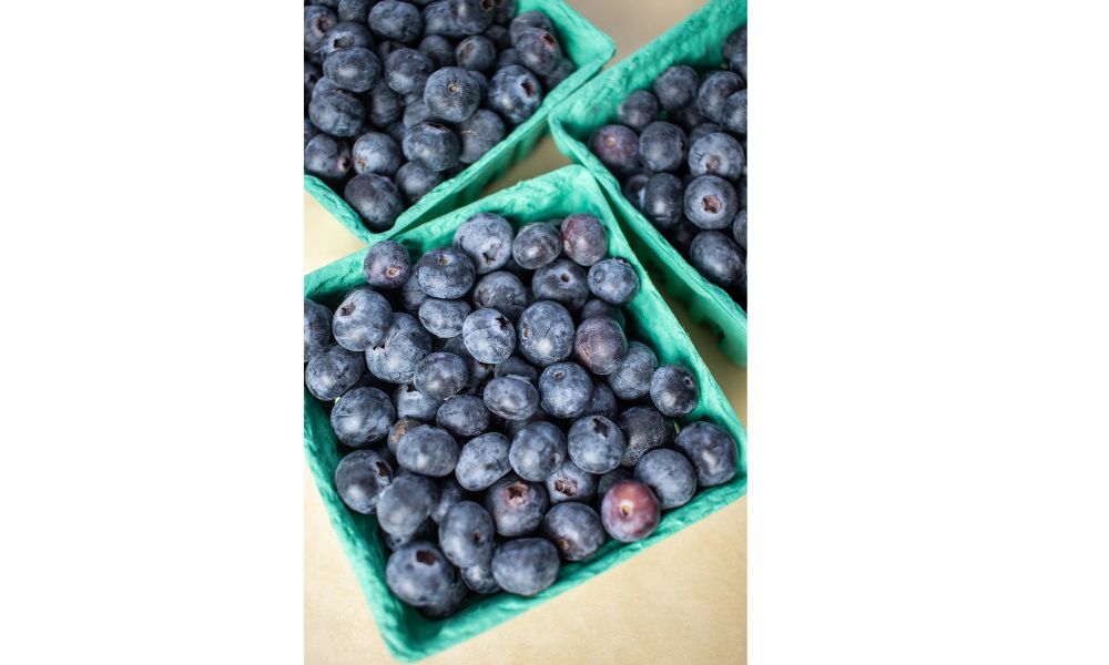 How to Keep Blueberries Fresh for Longer: Expert Tips and Tricks 3 How to Keep Blueberries Fresh for Longer: Expert Tips and Tricks 1