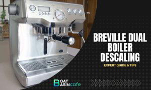 breville dual boiler descale