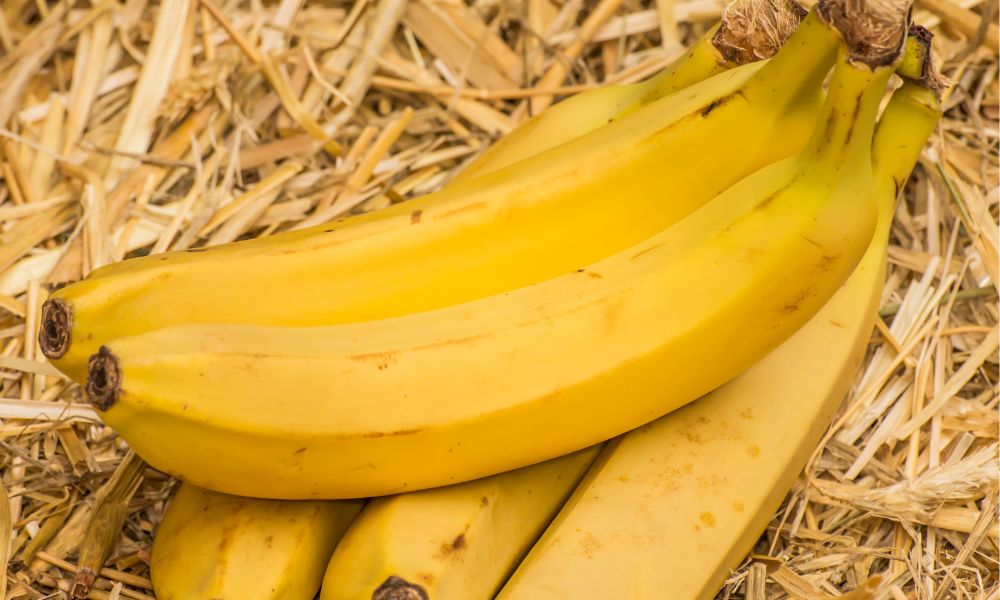 Organic Bananas: Nutritional Value, Health Impacts, and Environmental Benefits 2 organic bananas benefits