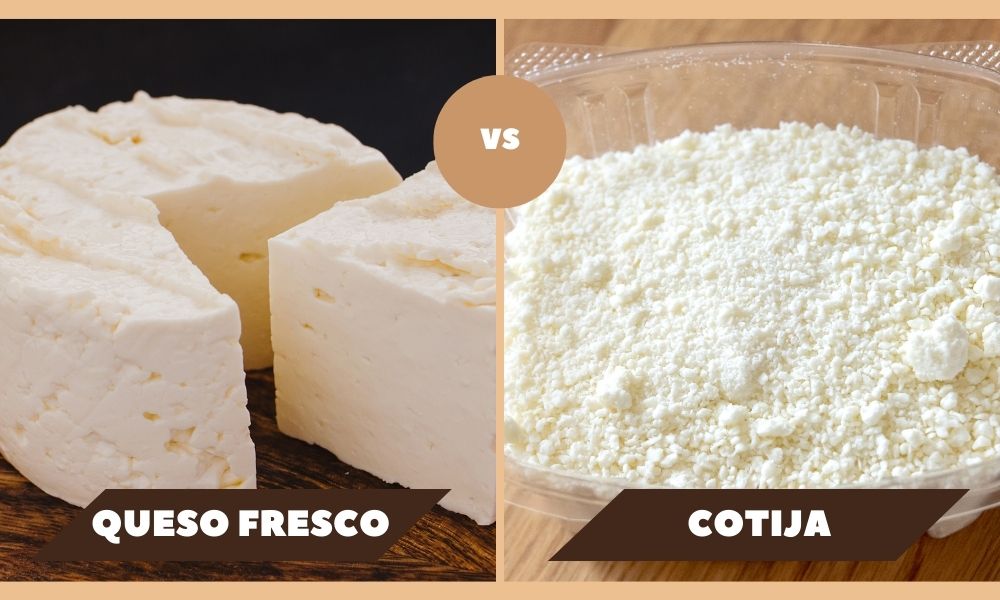 Top 10 Queso Fresco Substitutes: Elevate Your Dishes Now! 12 Top 10 Queso Fresco Substitutes: Elevate Your Dishes Now! 2