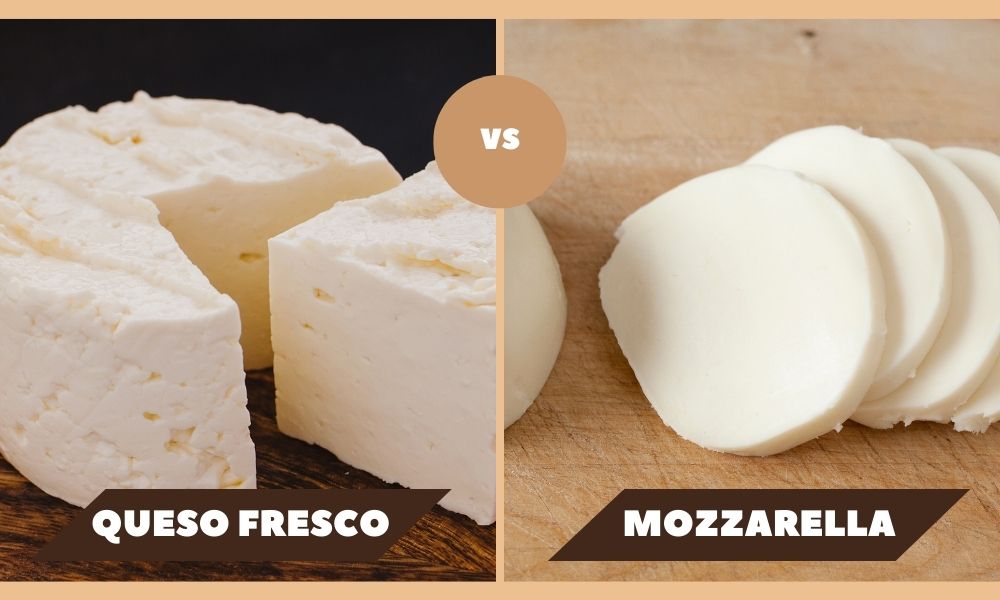 Top 10 Queso Fresco Substitutes: Elevate Your Dishes Now! 13 Top 10 Queso Fresco Substitutes: Elevate Your Dishes Now! 3
