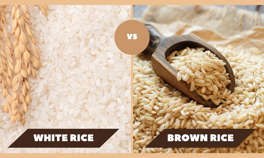 Brown Rice vs White Rice