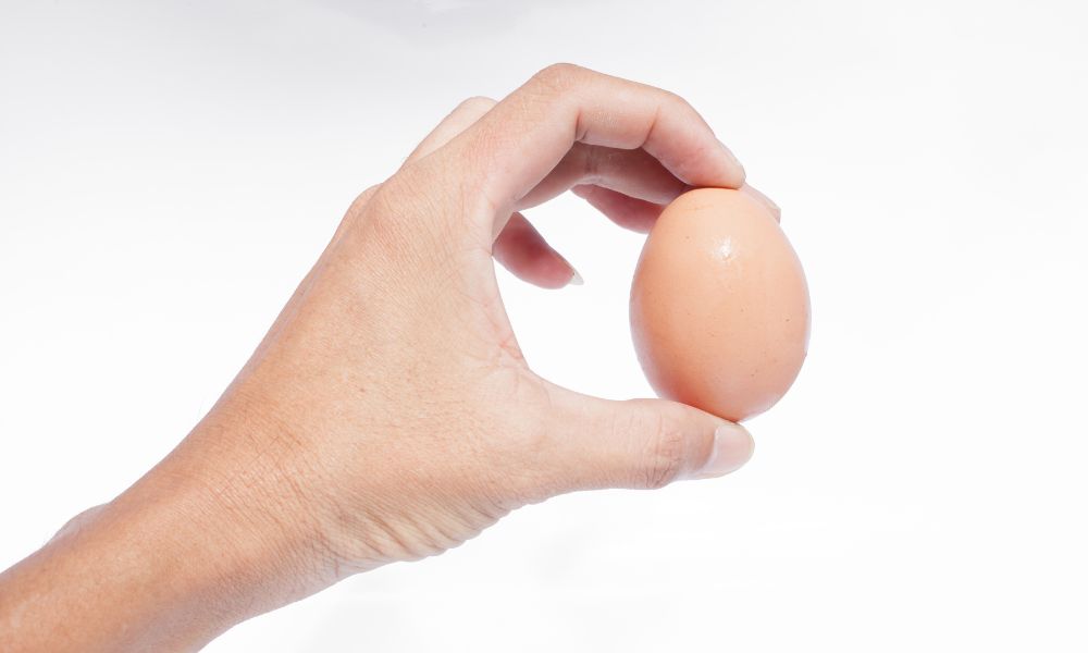 How to Tell if Eggs are Bad: 3 Techniques 🥚 5