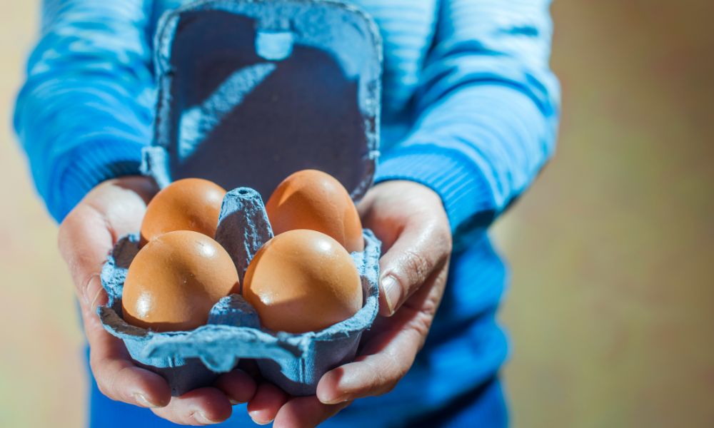 How to Tell if Eggs are Bad: 3 Techniques 🥚 2