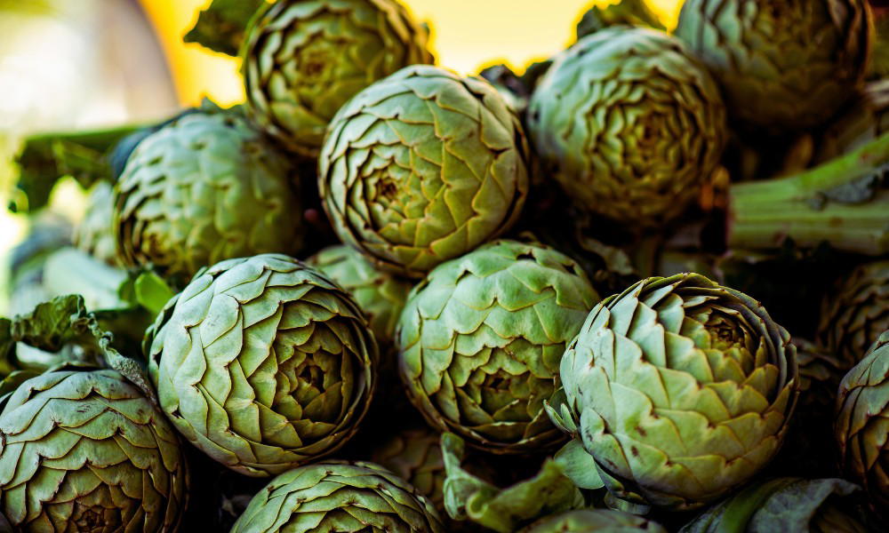 How long do Artichokes last in the fridge or freezer