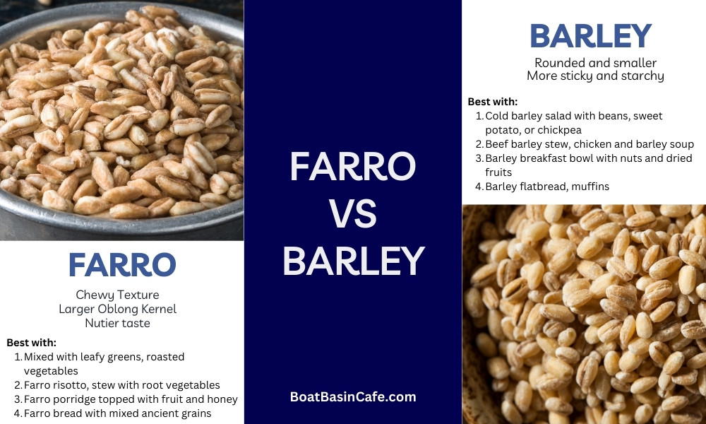 Farro vs Barley: Nutritional Benefits, and Sustainability 2 Unraveling Farro vs Barley