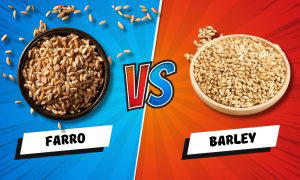 farro vs barley