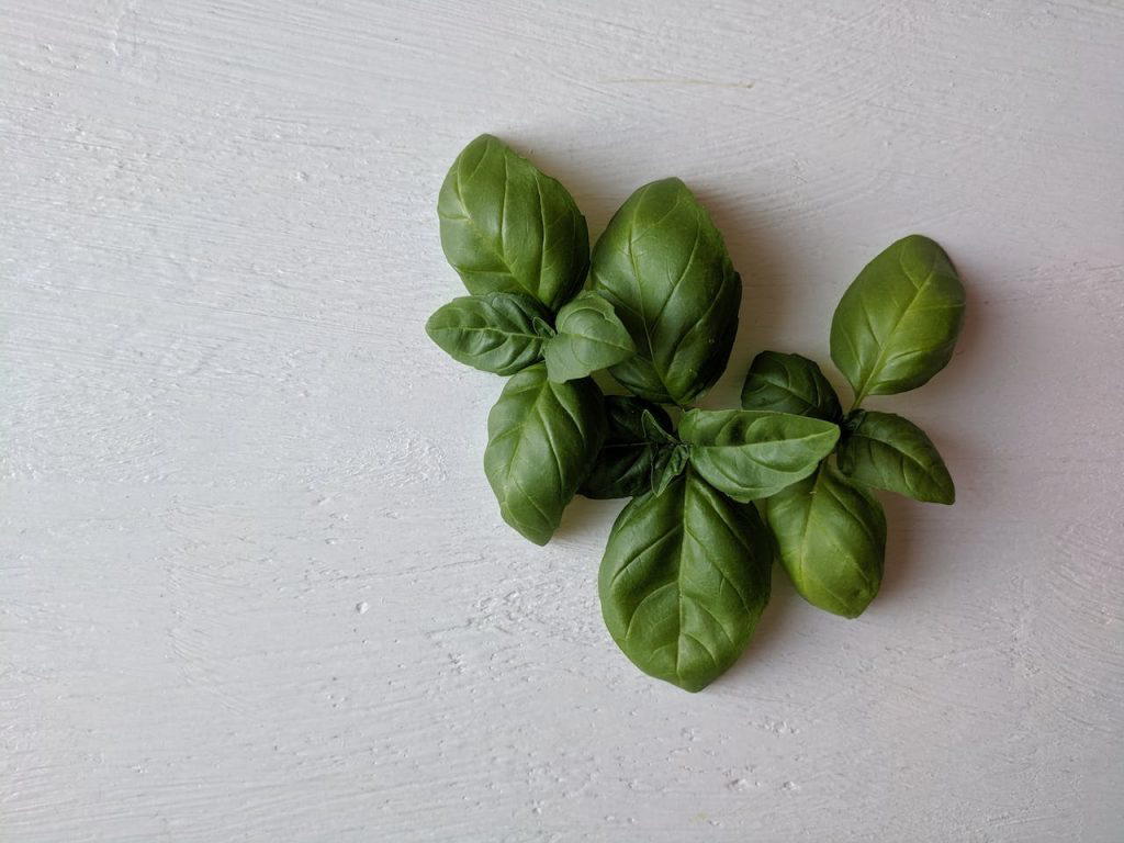 Reheating Eggplant Parmesan: Tips and Tricks for Delicious Results 2